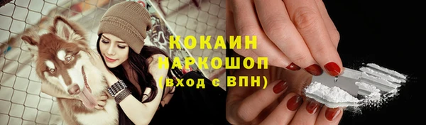 гашик Алексеевка