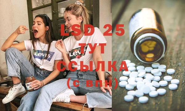 гашик Алексеевка