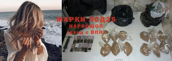 ПСИЛОЦИБИНОВЫЕ ГРИБЫ Алексин