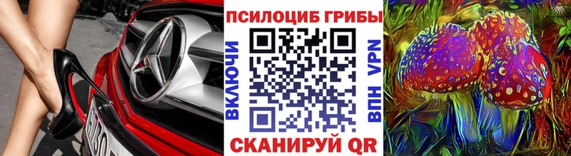 Псилоцибиновые грибы мицелий  Саров 